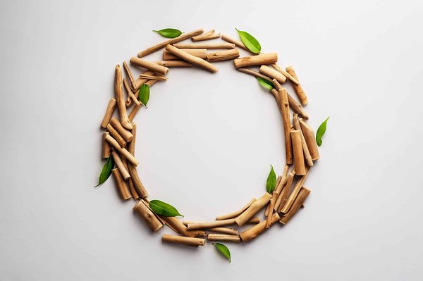 Économiser l'eau au jardin : méthodes efficaces et simples