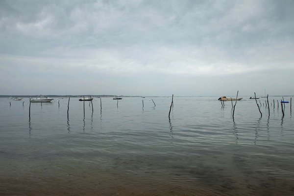 Construire un bassin d'eau dans son jardin : par où commencer ?